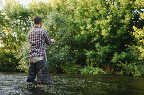 Shad Fishing Season in NC: When to Hit the Water