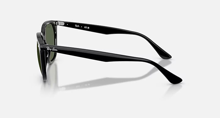 Ray-Ban Polarized Dark Green Square Unisex Sunglasses