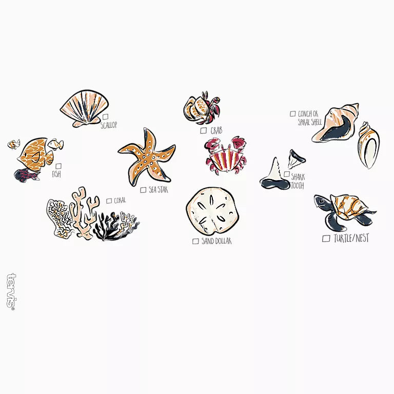 Illustrations of various sea creatures with labels on a white background