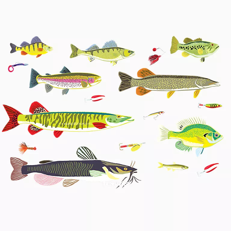 Illustrations of various colorful fish and fishing lures on a white background