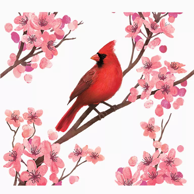 Sakura Cardinal 24oz Water Bottle
