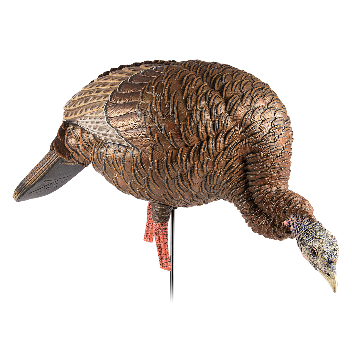 Avian X Decoys HDR Feeing Hen Decoy