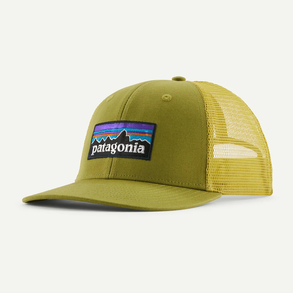 Green cap with Patagonia logo on a white background