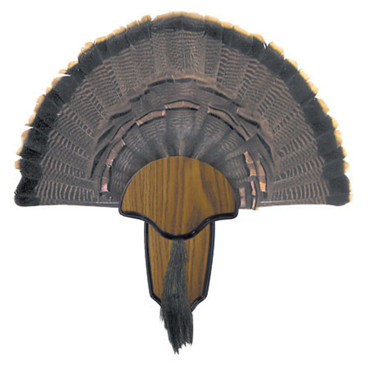 H.S. Strut Turkey Fan & Beard Mounting Kit