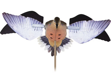 decoy dove on a white background