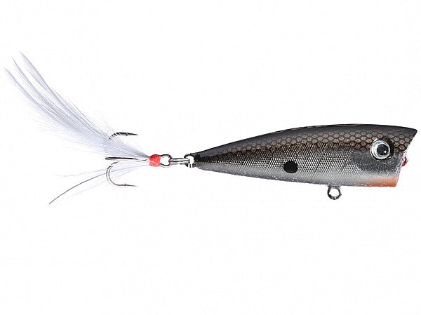 Lobina Lures Rio Rico