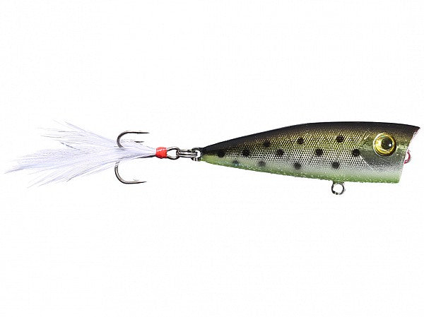 Lobina Lures Rio Rico