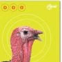 EZ Aim Splash Reactive Paper Shooting Targets,Turkey Target (8-Pack)