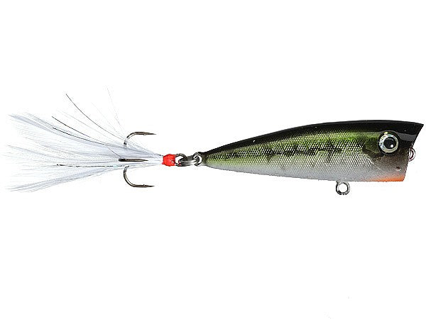 Lobina Lures Rio Rico