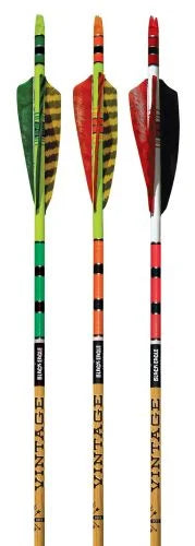 Three arrows with colorful fletchings on a white background