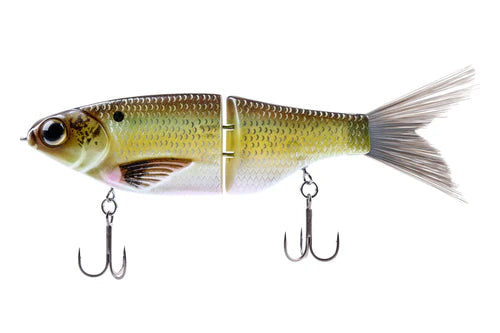 KGB Grand Shad Bait