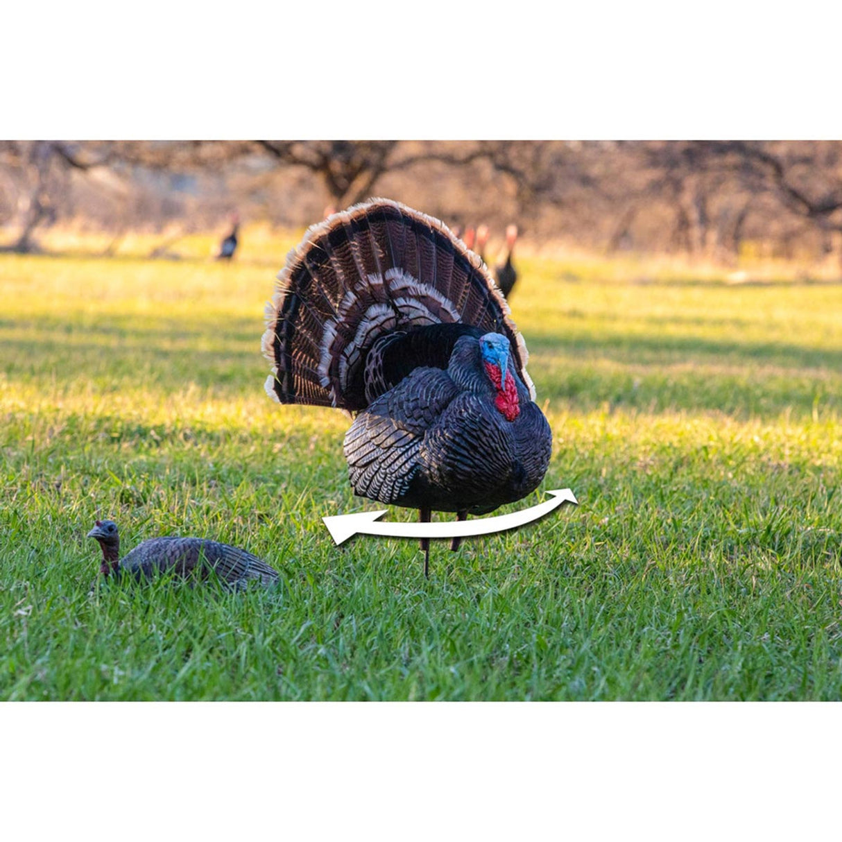 Remote Control Turkey Decoy