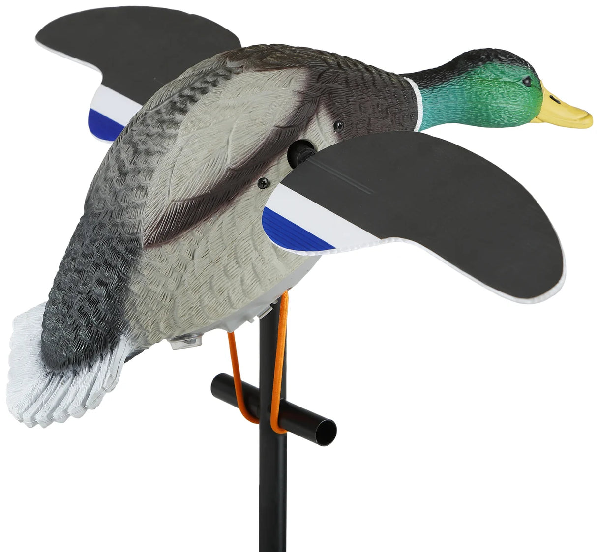 Lucky Duck Lucky Pair II