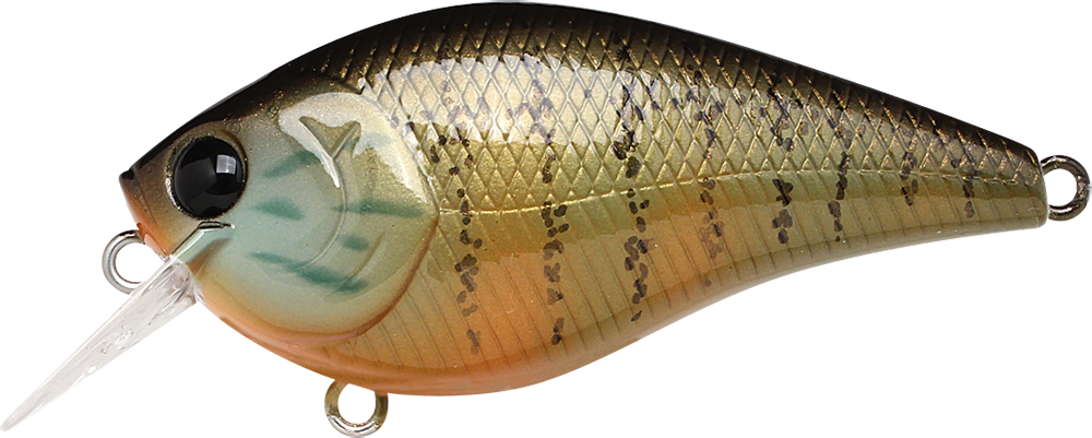 Lucky Craft LC 1.5 Crank Bait (Gold Pumpkin Seed)