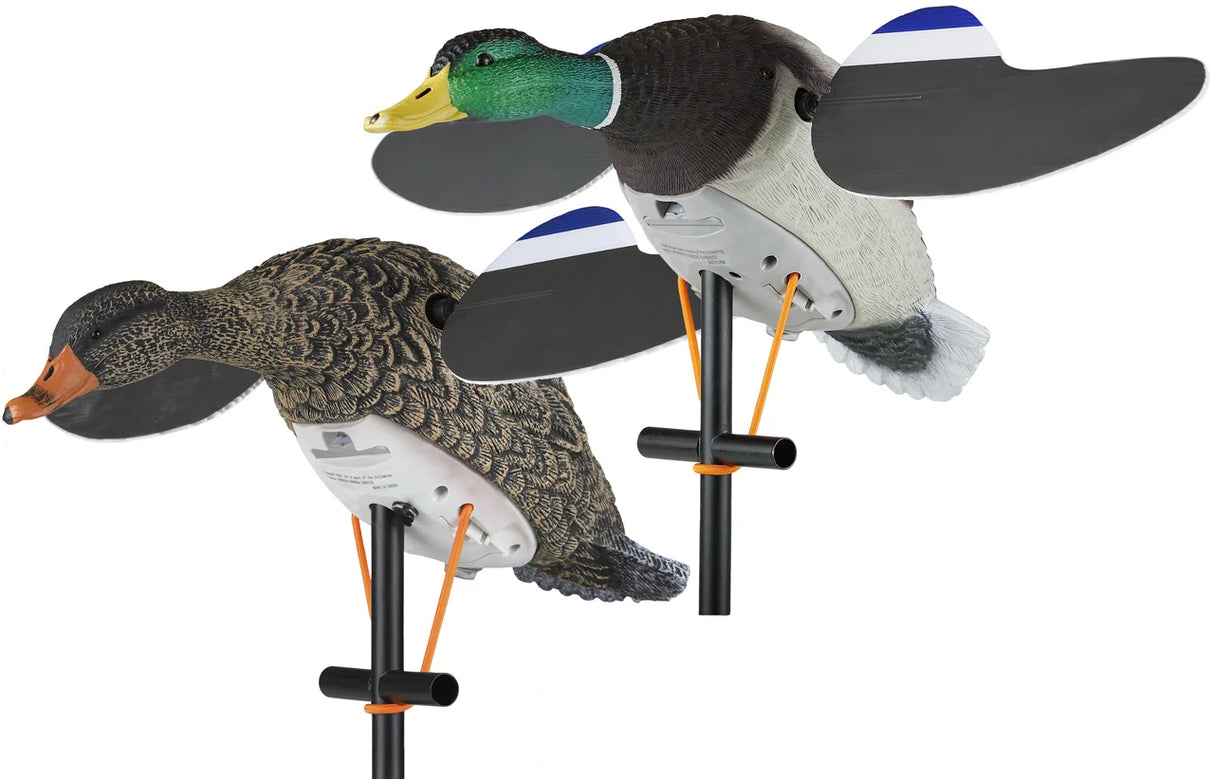 Lucky Duck Lucky Pair II