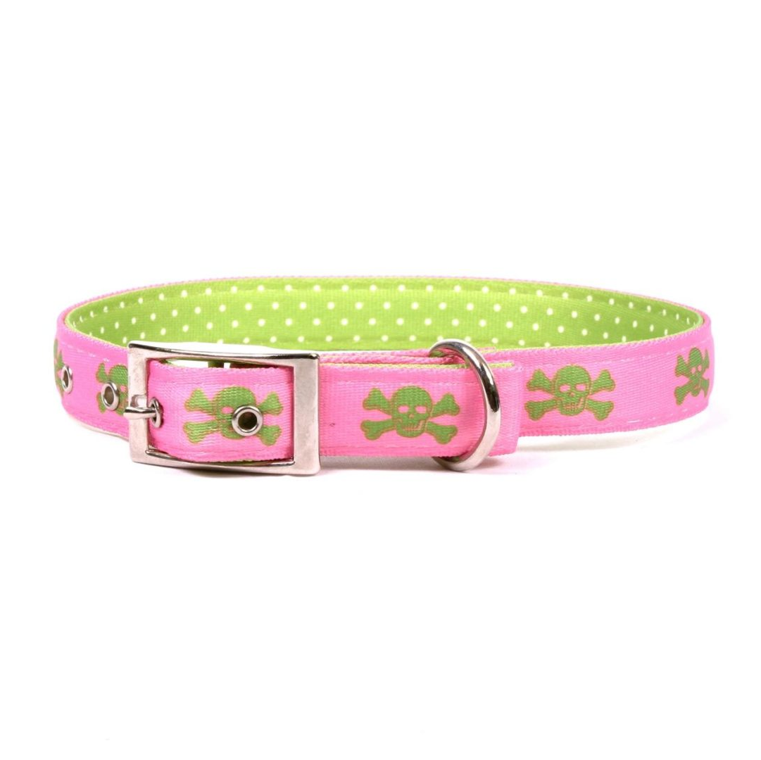 Green/pink Skulls Collar Extra Small 8"-12"
