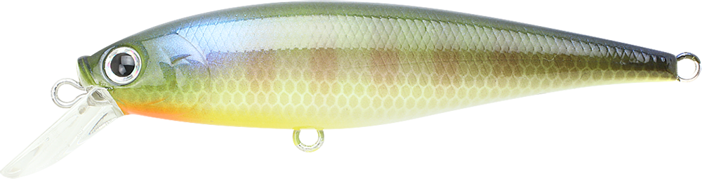 Lucky Craft Pointer 78 (BE Gill)