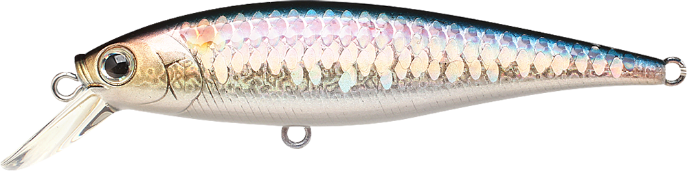 Lucky Craft Pointer 78 (MS American Shad)