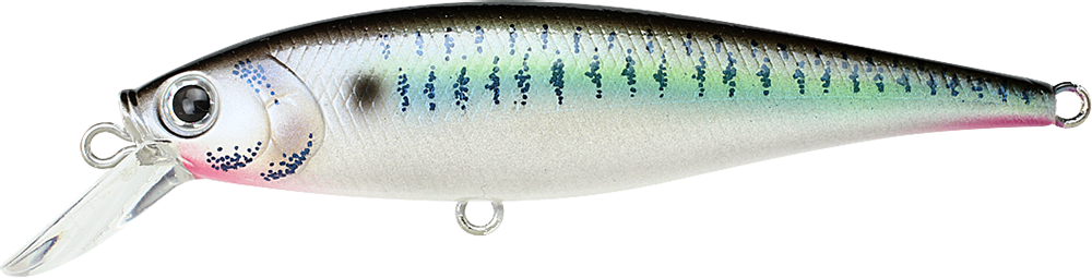 Lucky Craft Pointer 78 ( Live Threadfin Shad)