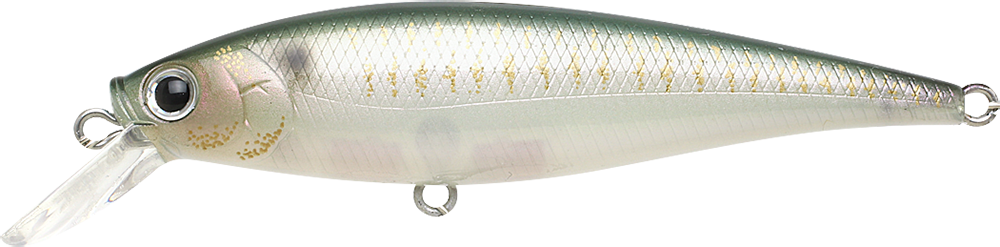 Lucky Craft Pointer 78 (Live Pearl Shad)