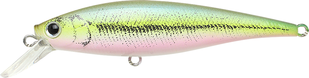 Lucky Craft Pointer 78 (Live Chart Wakasagi)