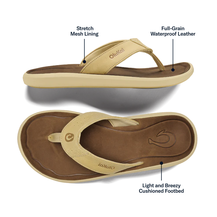 Beige sandal with labeled features on a white background