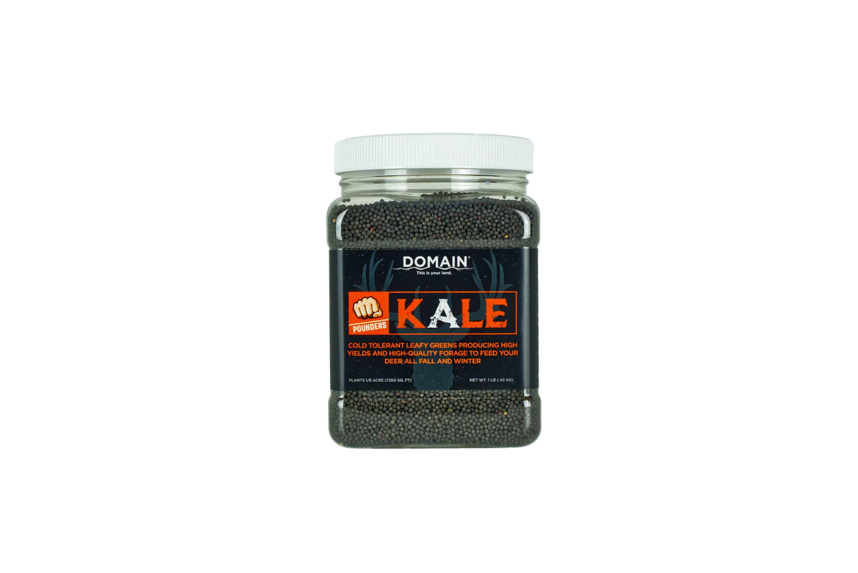 Jar of Domain Kale powder on a white background