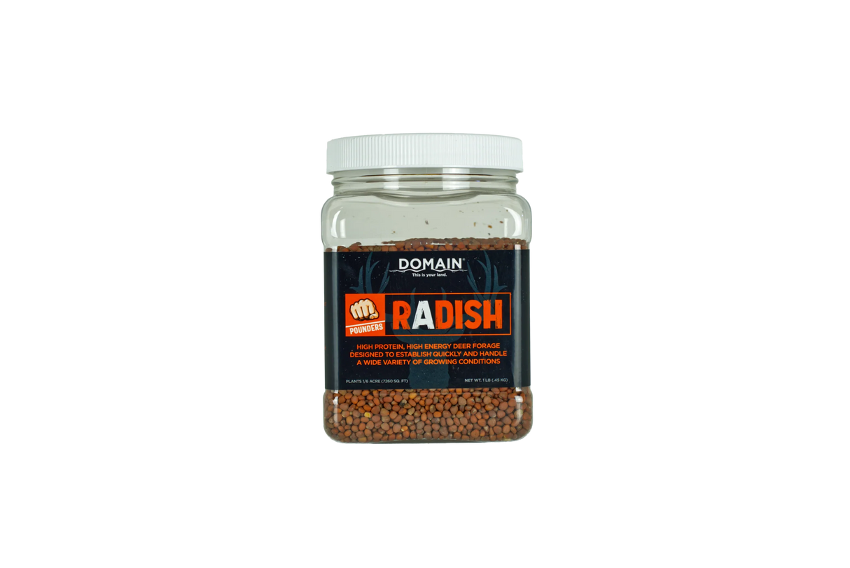 Jar of Domain Radish seeds on a white background