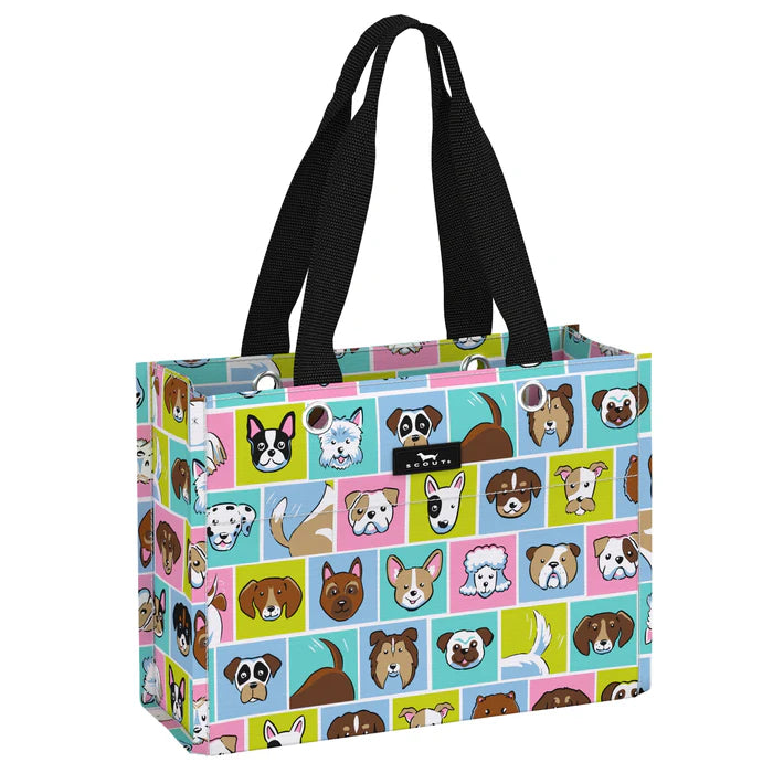 Bolsa de regalo Scout Tiny Package