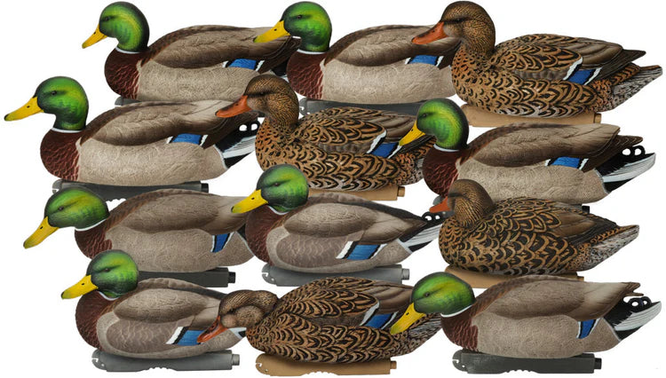 Avery Outdoors, Inc. GHG Pro-Grade XD Series Mallard Decoys - Harvester 12-Pack