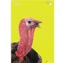 EZ Aim Splash Reactive Paper Shooting Targets,Turkey Target (8-Pack)