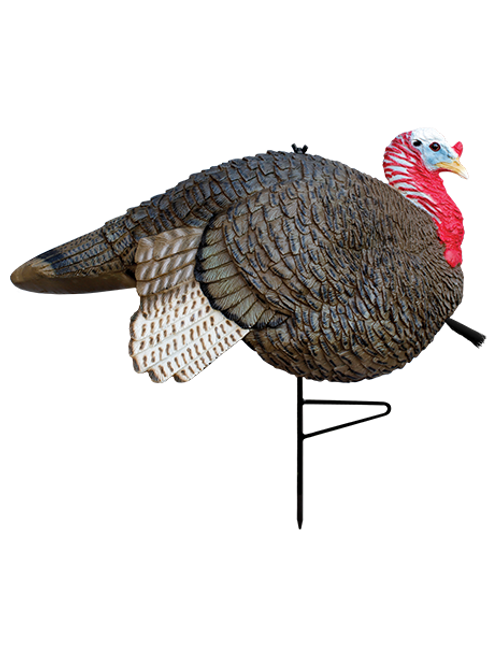 Primos Gobbstopper Jake Turkey Decoy