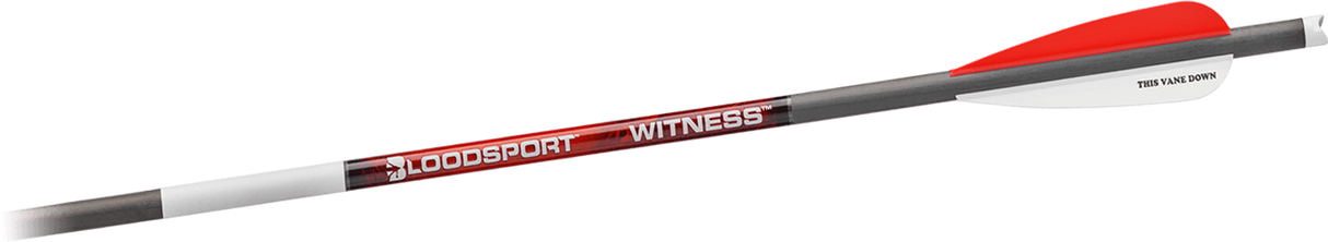 BloodSport Witness 20″ Crossbow Arrow - Six Pack