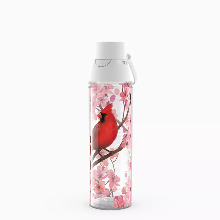 Sakura Cardinal 24oz Water Bottle