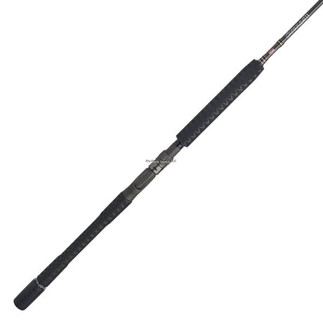 Cañas Penn Carnage III Jigging Spin