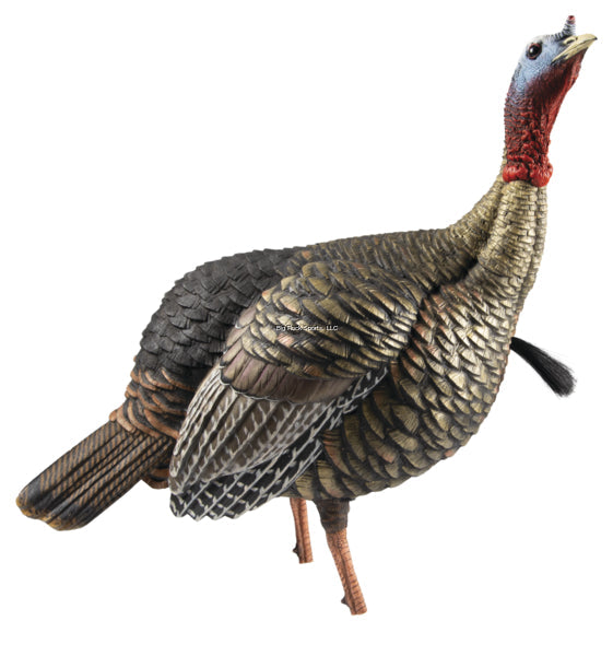 Jake moldeado por soplado Avin X Turkey
