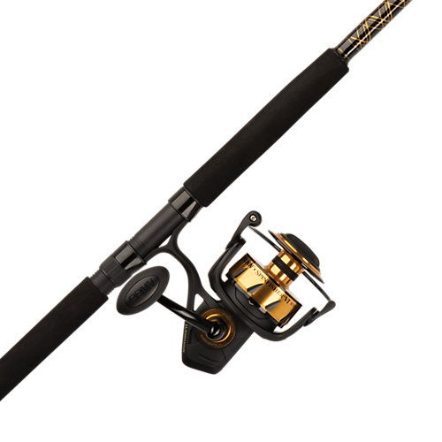 PENN Spinfisher VI Spinning Reel and Rod Combo