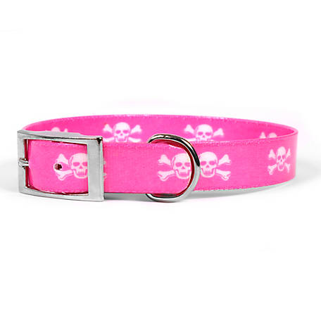 Yellow Dog Pink Skulls