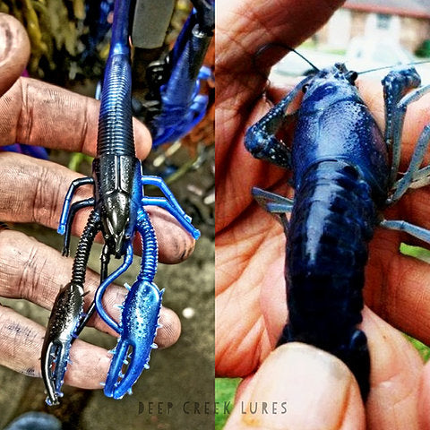 Crawdaddy de Deep Creek