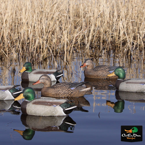 Señuelos Avery GHG de gran tamaño Mallards (1/2 docena)