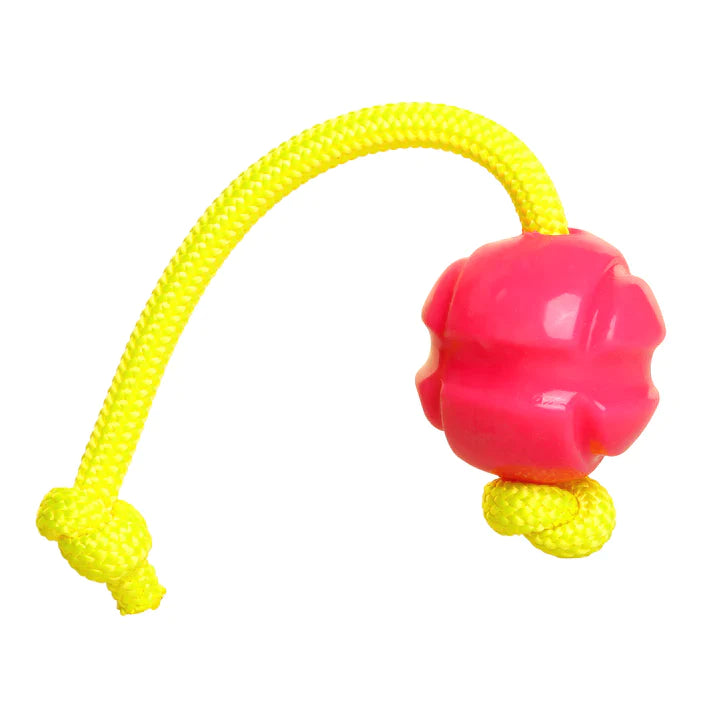 DOOG Fetch-N-Tug Ball & Ropes