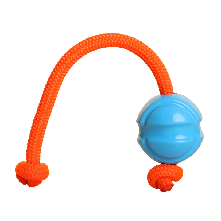 DOOG Fetch-N-Tug Ball & Ropes