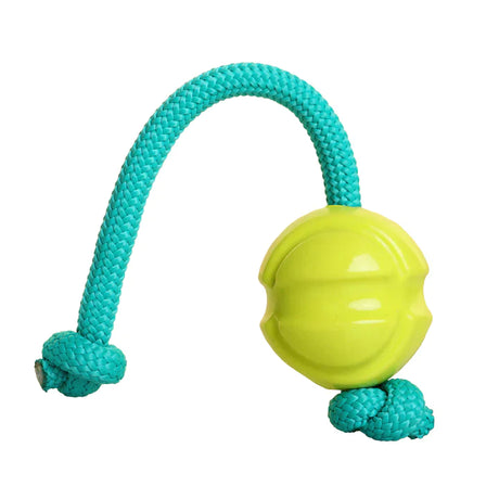 DOOG Fetch-N-Tug Ball & Ropes