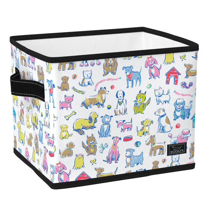 Contenedor de almacenamiento Scout Hang 10: el mejor de la exposición