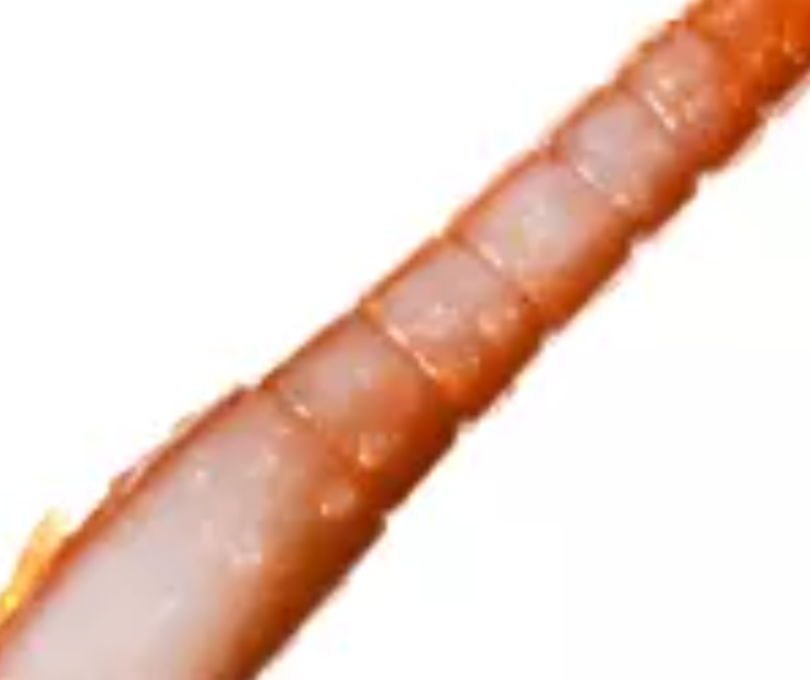 Gulp Alive Shrimp