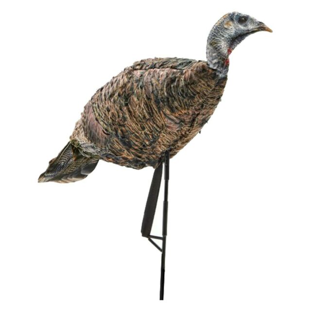 Montana Decoy Nueva Miss Purr-Fect Xd 3d Gallina (6)