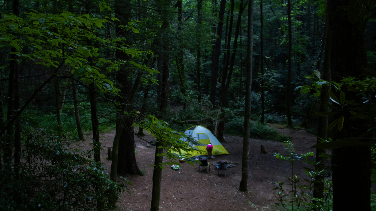 Best NC Camp Grounds for Spring