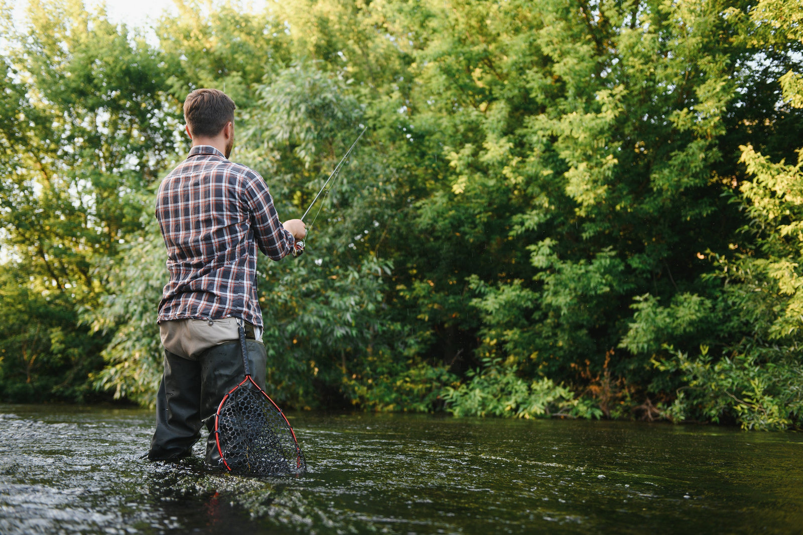 Shad Fishing Season in NC: When to Hit the Water