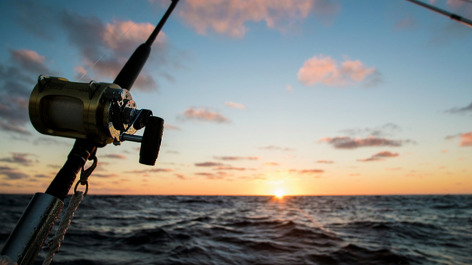 Top Offshore Fish to Catch This Spring in NC