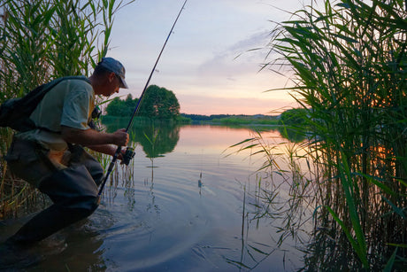 Live Bait vs. Artificial Lures for Shad Fishing in NC